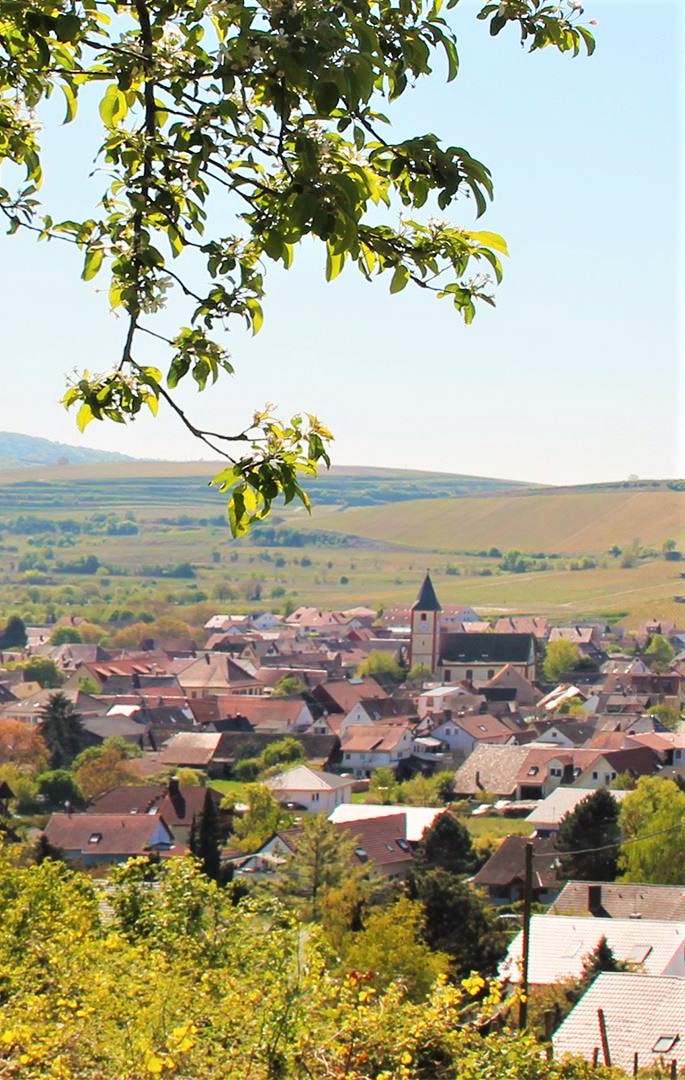 Sasbach am Kaiserstuhl